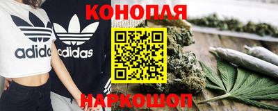 СК Боровичи