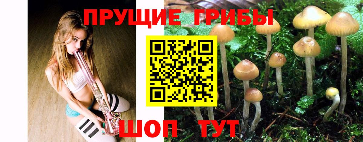 Галлюциногенные грибы Magic Shrooms Грозный